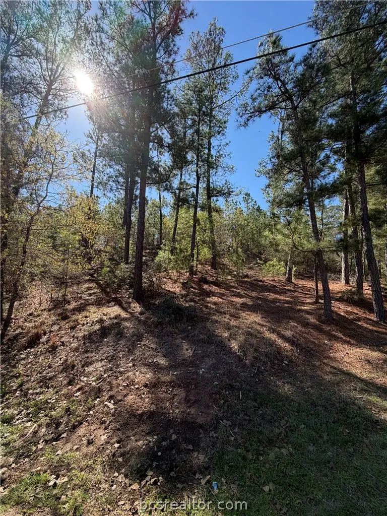 TBD Mamalu Drive, Bastrop, TX 78602 - #3