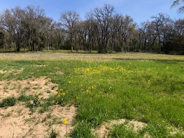 TBD FM 46 N Fm 46 N, Franklin, TX 77856 - #3