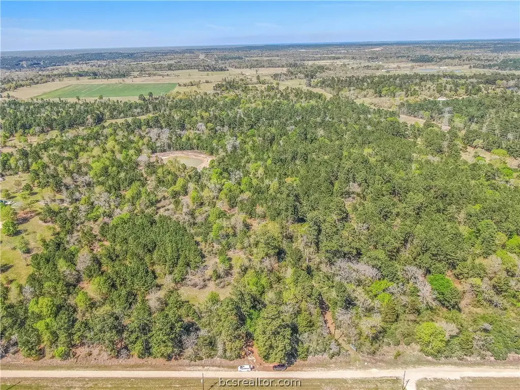 3656 Luthe Road, Bedias, TX 77831 - #1