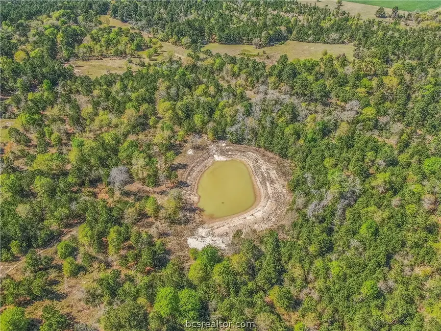 3656 Luthe Road, Bedias, TX 77831 - #3