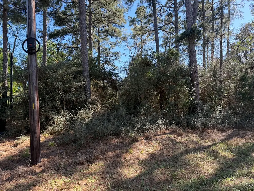 4748 CR 148 Cr 148 Countyroad, Bedias, TX 77831 - #1