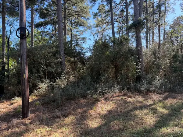 4748 CR 148 Cr 148 Countyroad, Bedias, TX 77831