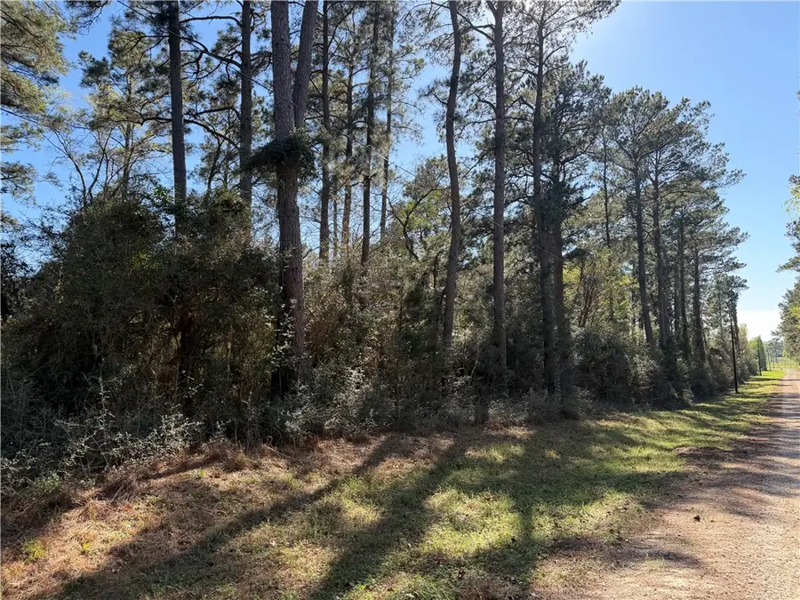 4748 CR 148 Cr 148 Countyroad, Bedias, TX 77831 - #2