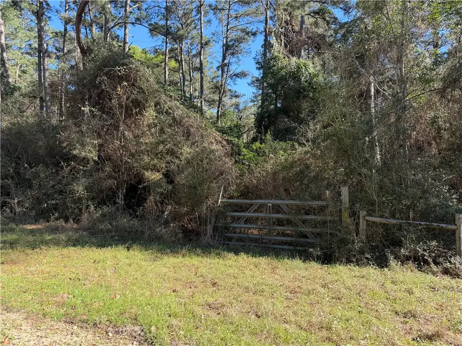 4748 CR 148 Cr 148 Countyroad, Bedias, TX 77831 - #3