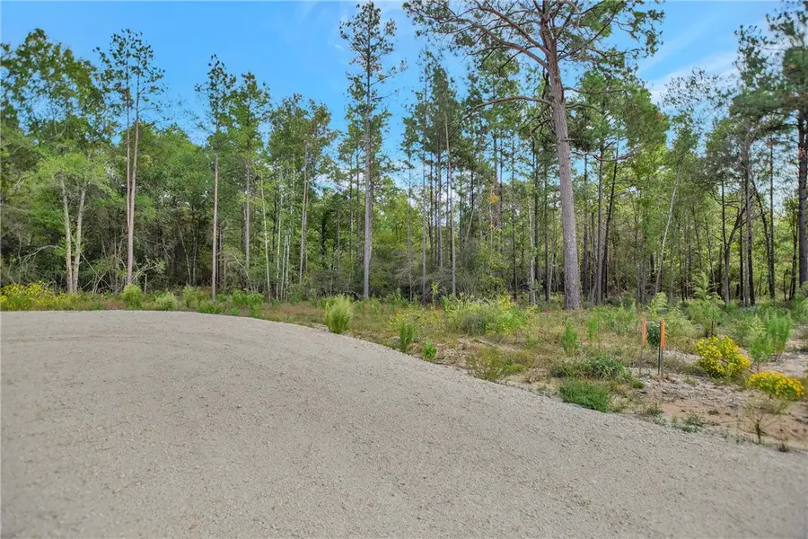 Tract 53 Ranches Of Buckhorn Creek, Crockett, TX 75835 - #3