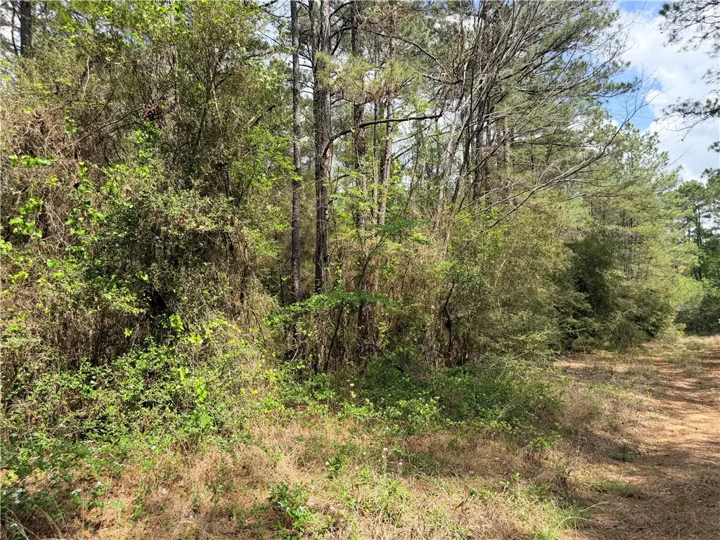 4341 & 4365 North Oaks Drive, Navasota, TX 77868 - #1