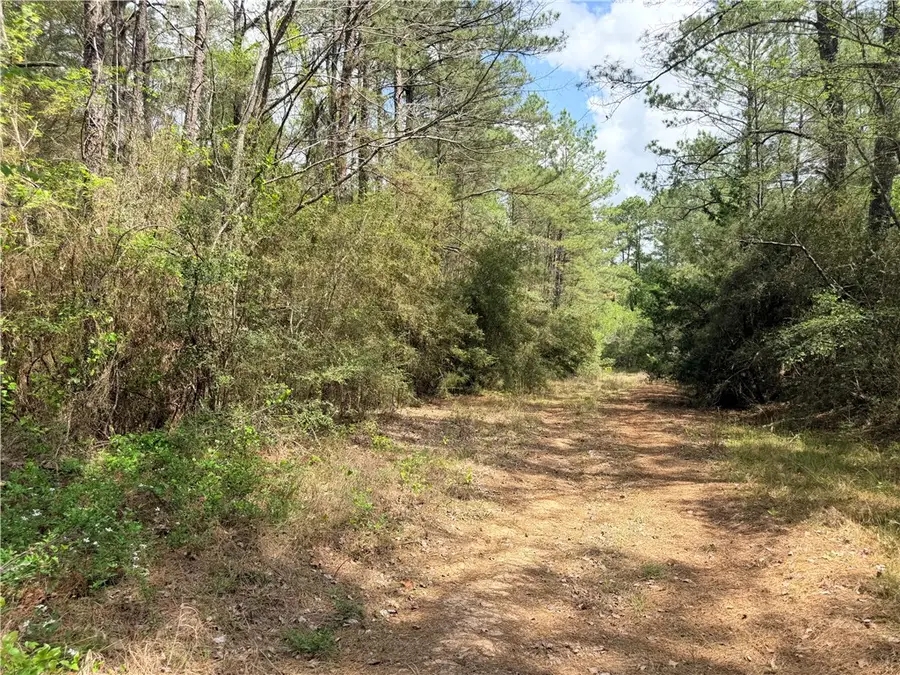 4341 & 4365 North Oaks Drive, Navasota, TX 77868 - #2