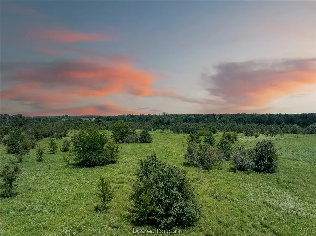 TBD E Us Hwy 79, Franklin, TX 77856 - #1