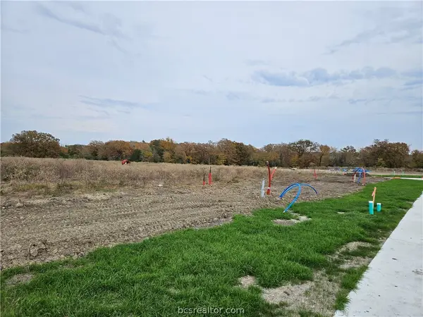 2808 Goldberg Drive, Bryan, TX 77808