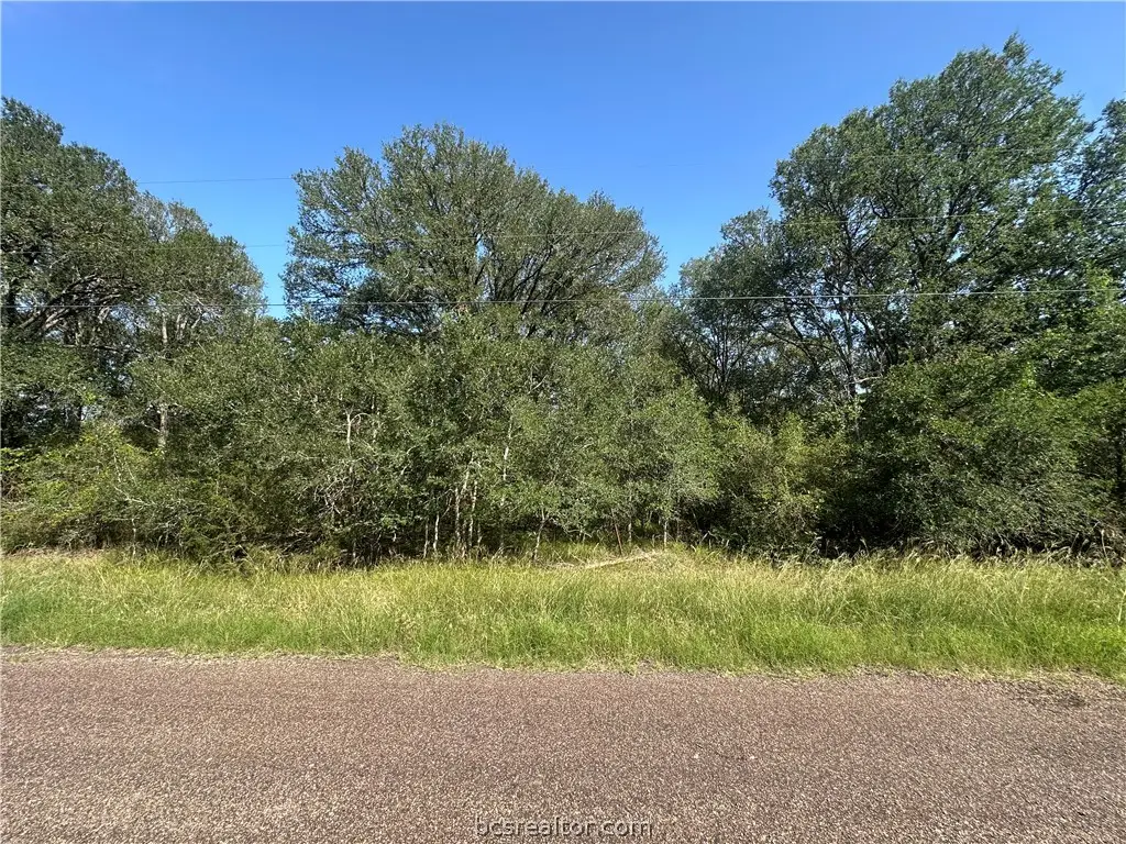 344 and 362 Indian Ridge Drive, Somerville, TX 77879 - #1