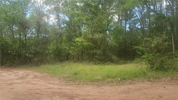 Lot 6 Thornwood Drive, Plantersville, TX 77363