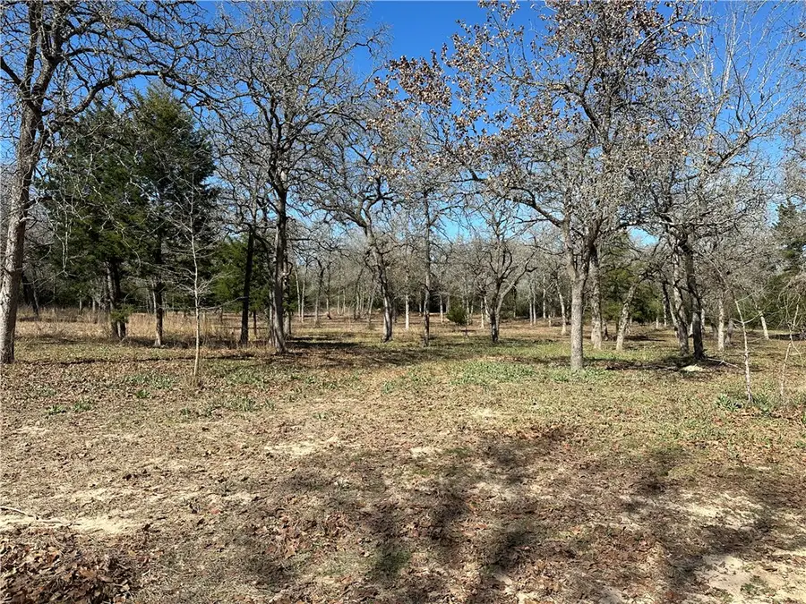 9820 Deer Ridge Lane, Bryan, TX 77808 - #3