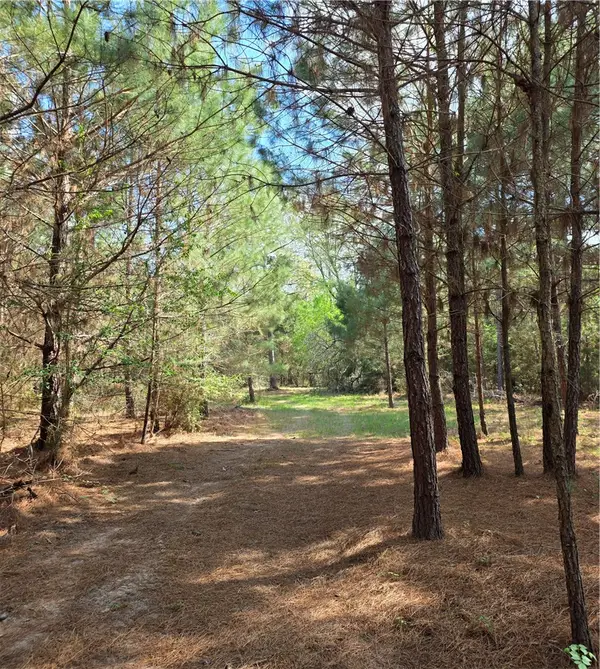 9118 Hazy Hollow Lane, Anderson, TX 77830