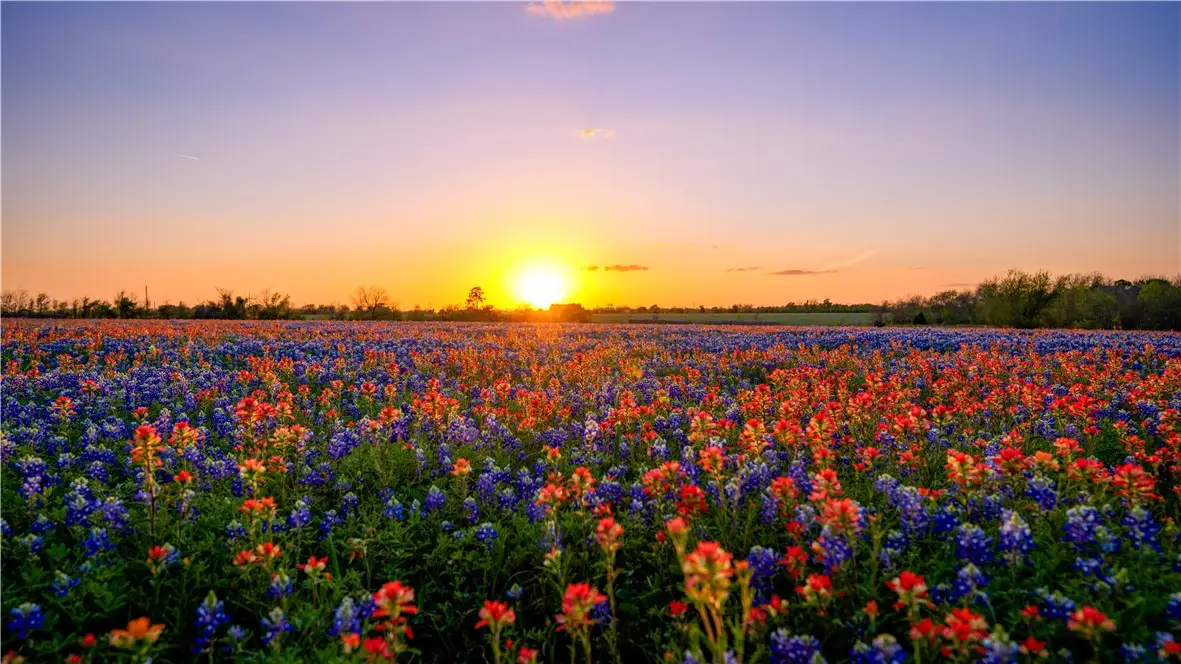 5107 Bovista Ranch Road, Navasota, TX 77868 - #1