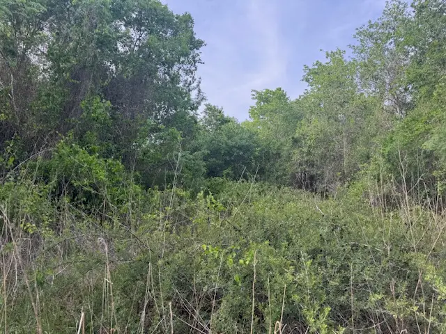 25230 Lake Ridge Drive, Navasota, TX 77868 - #2