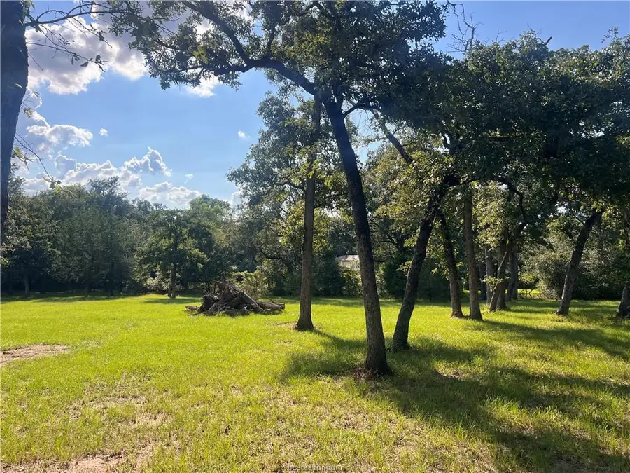 TBD Cardinal Road, Caldwell, TX 77836 - #2