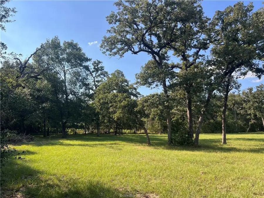 TBD Cardinal Road, Caldwell, TX 77836 - #3