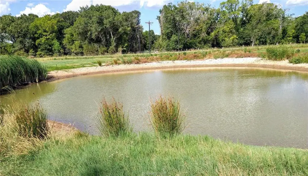 5997 County Road 308, Caldwell, TX 77836 - #1