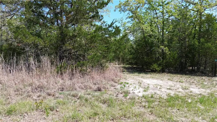 201 Shoreline Drive, Somerville, TX 77879 - #3