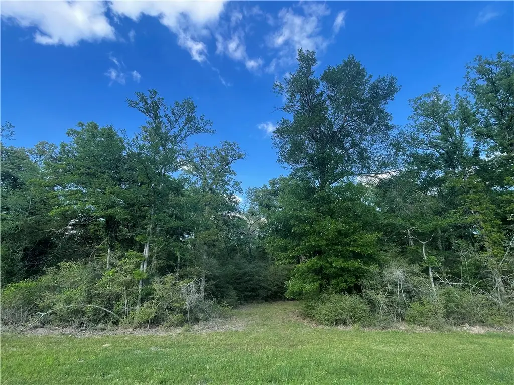 TBD Sawmill Road, Franklin, TX 77837 - #1