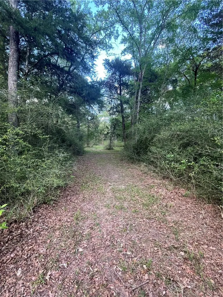 TBD Sawmill Road, Franklin, TX 77837 - #2