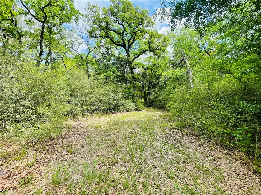 TBD Sawmill Road, Franklin, TX 77837 - #3