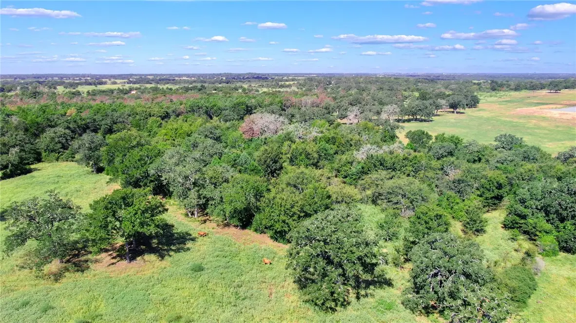TBD Cr 227 Countyroad, Caldwell, TX 77836 - #1