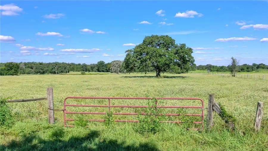 TBD Cr 227 Countyroad, Caldwell, TX 77836 - #2