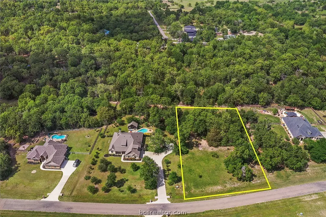 10559 Hampton Court, Iola, TX 77861 - #1