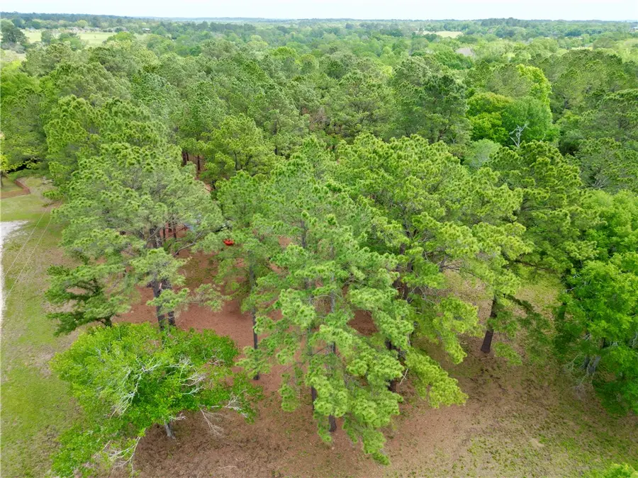 10314 County Road 417a, Navasota, TX 77868 - #2