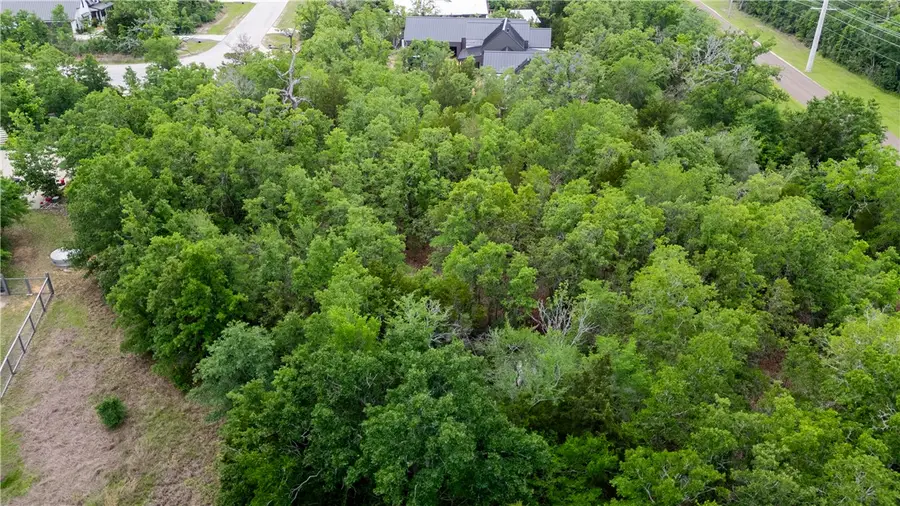 19387 Moonlit Hollow Loop, College Station, TX 77845 - #3