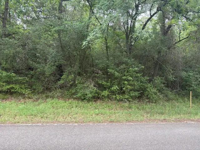 TBD #2 Post Oak Drive E, Hilltop Lakes, TX 77871 - #2