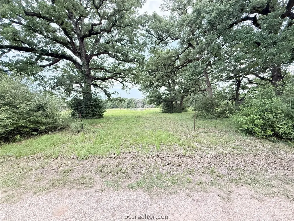 TBD Wannabe Pvt Road, Bryan, TX 77808 - #1