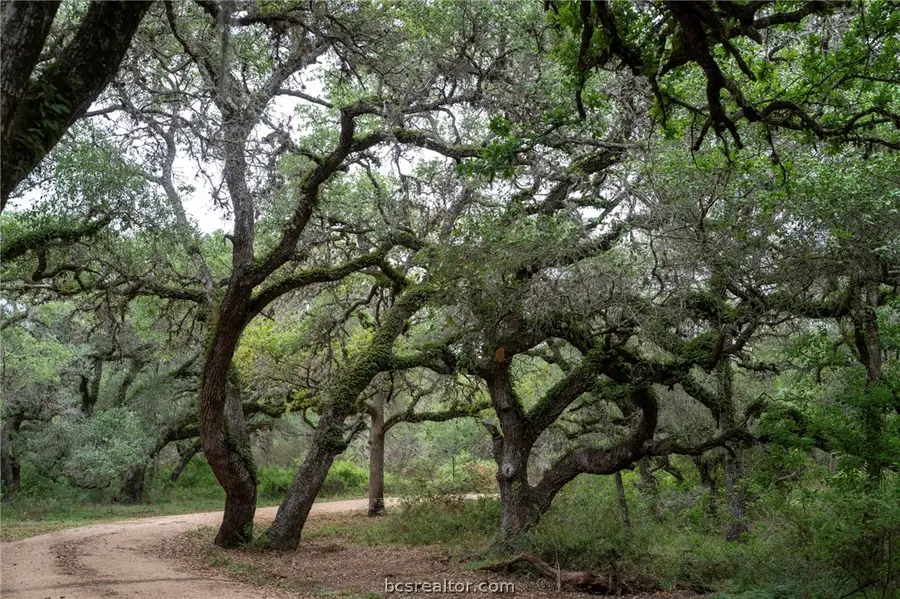 0 County Road 19, Other, TX 77964 - #3