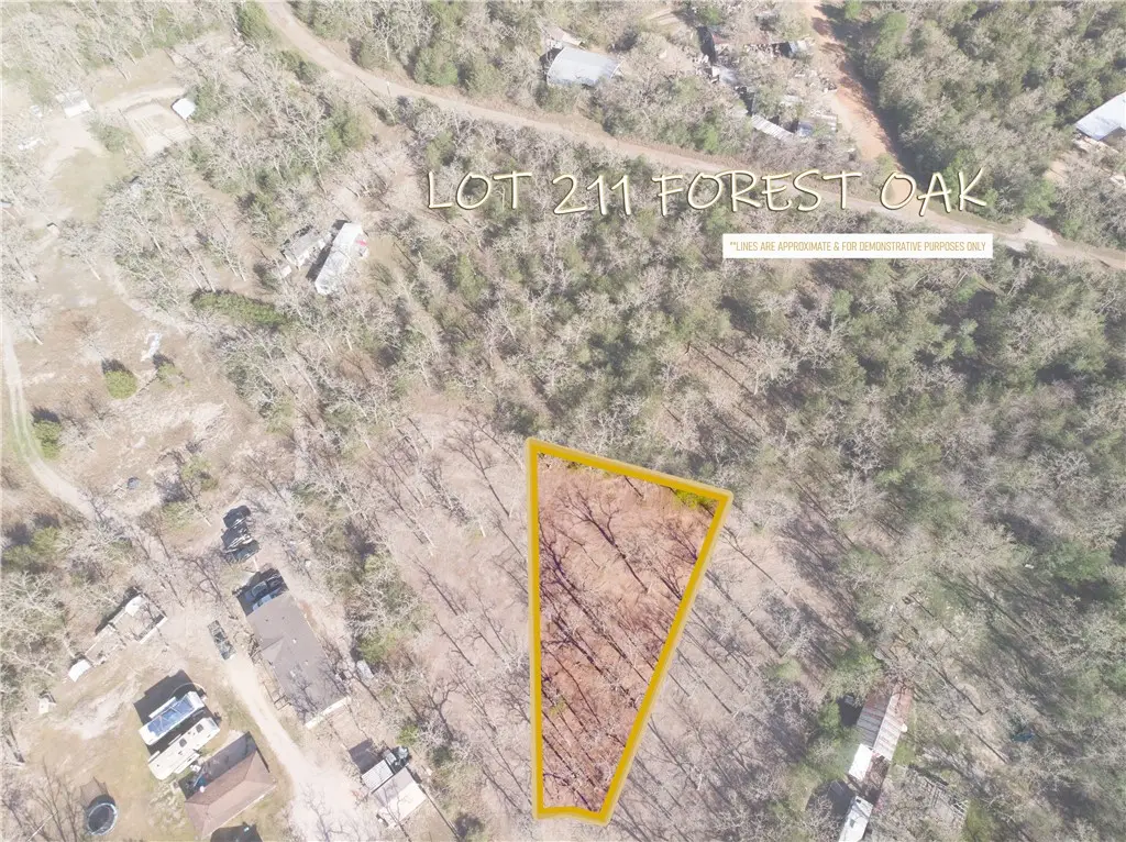 Lot 211 Forest Oak Road, Somerville, TX 77879 - #1