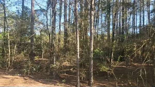 Lot 5 Walnut Tree Lane, Plantersville, TX 77363