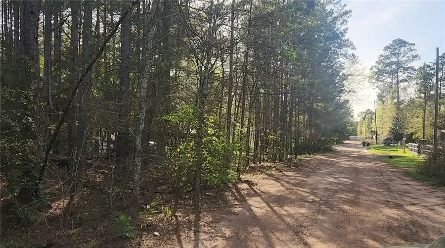 Lot 5 Walnut Tree Lane, Plantersville, TX 77363 - #3