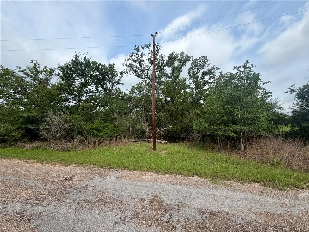 505 Deer Run Trail, Somerville, TX 77879 - #1