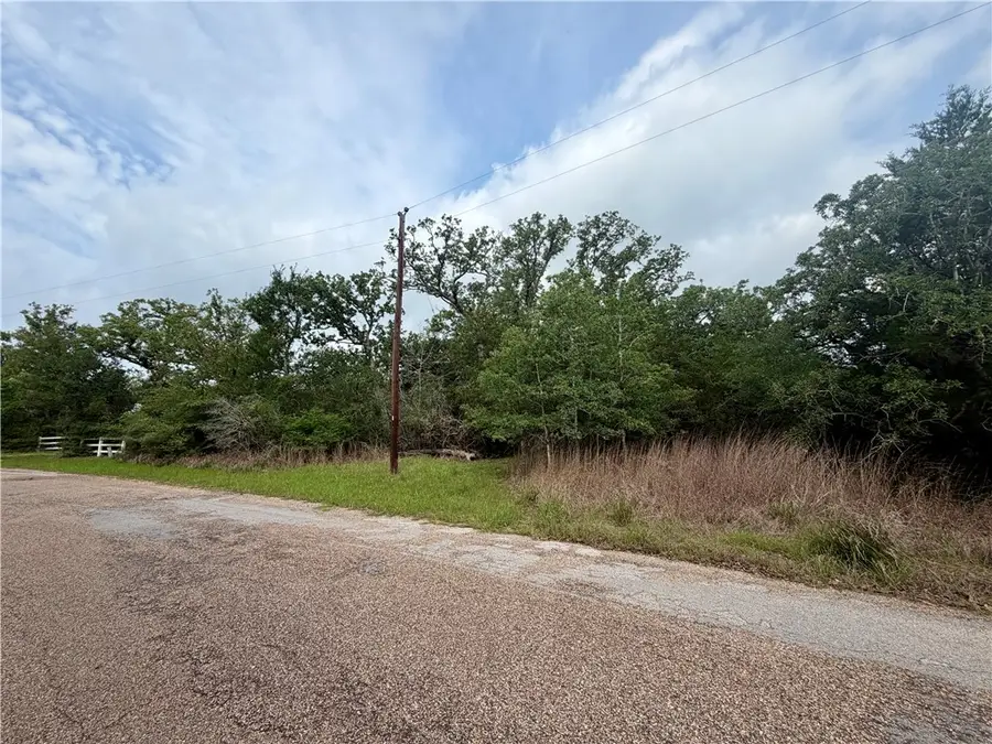 505 Deer Run Trail, Somerville, TX 77879 - #2