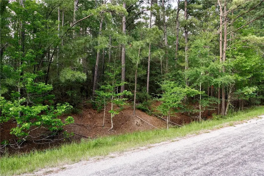 Lot 6 Willow Creek, Huntsville, TX 77340 - #3