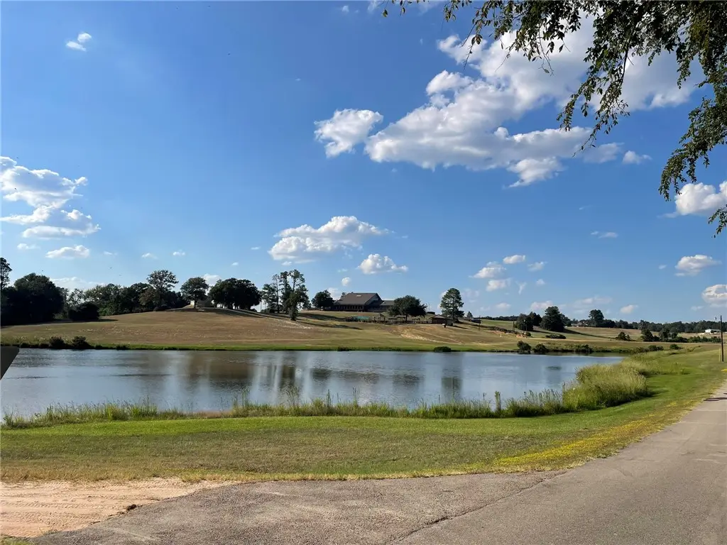 31 Ranch Road Drive, Normangee, TX 77871 - #1