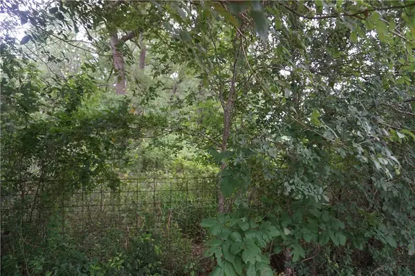 TBD Berry Creek Drive, Caldwell, TX 77836