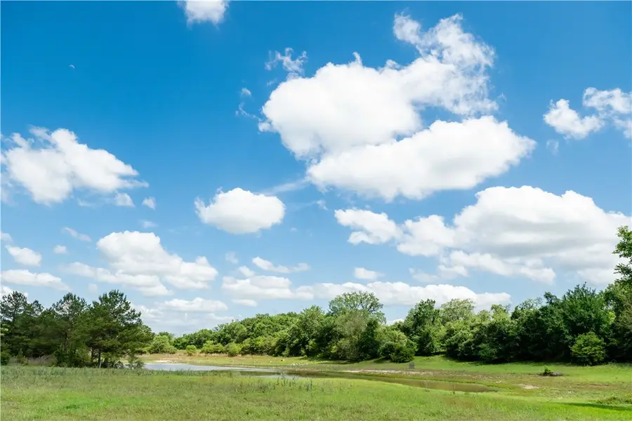 2199 Navasota Ridge (pvt), Navasota, TX 77868 - #3