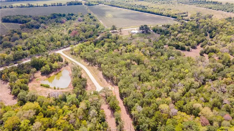 Lot 1 & Lot 2 Pvt 1100, Leona, TX 75850 - #3