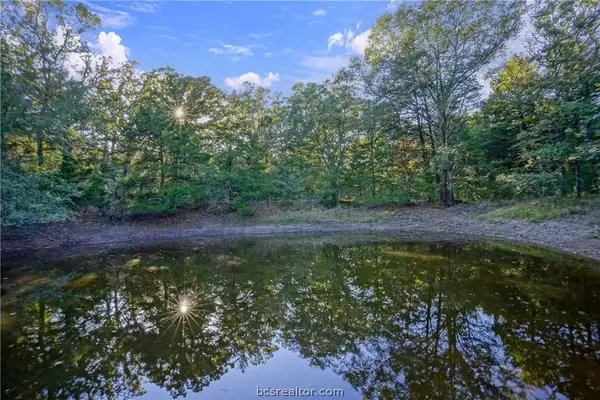 45 Acres Fcr 930, Teague, TX 75860