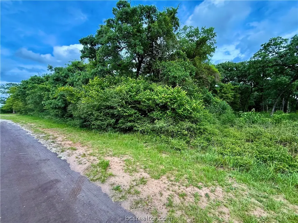 TBD Jamaica Drive, Hilltop Lakes, TX 77871 - #1