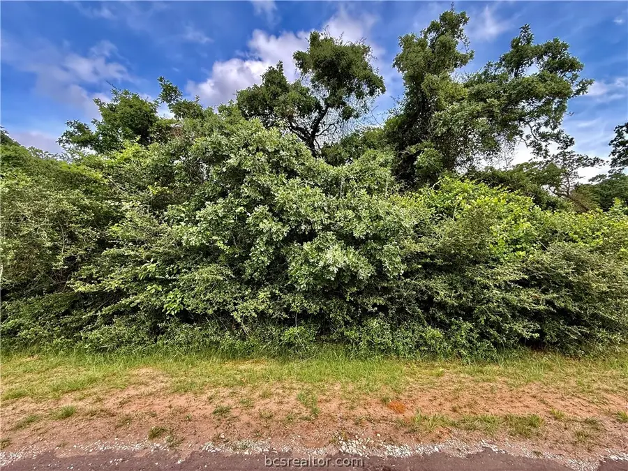 TBD Jamaica Drive, Hilltop Lakes, TX 77871 - #2