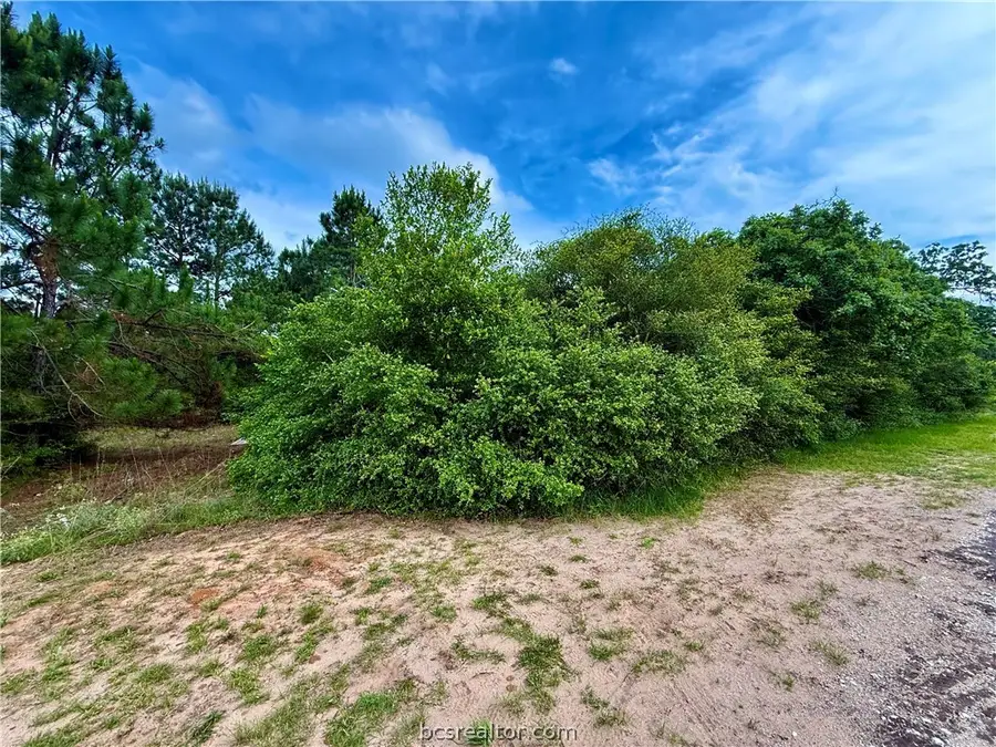 TBD Jamaica Drive, Hilltop Lakes, TX 77871 - #3