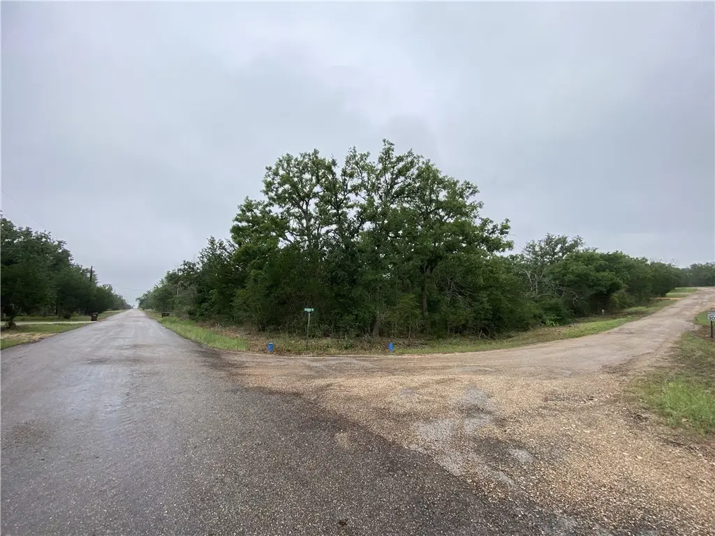 887 Big Berry Road, Somerville, TX 77879 - #1