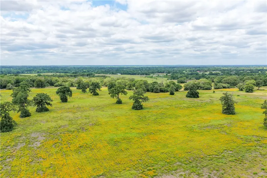 TBD County Road 119, Caldwell, TX 77836 - #3